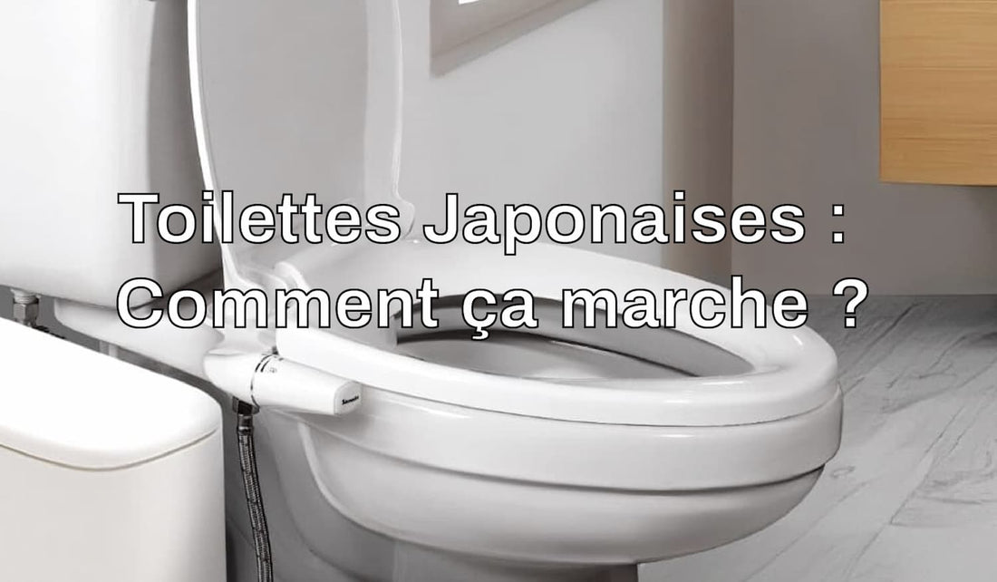 toilettes japonaises